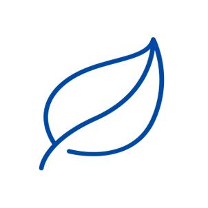 bylinky